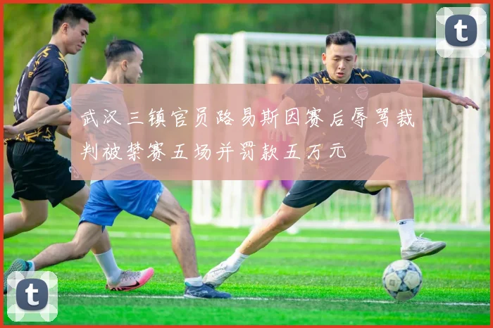 武汉三镇官员路易斯因赛后辱骂裁判被禁赛五场并罚款五万元