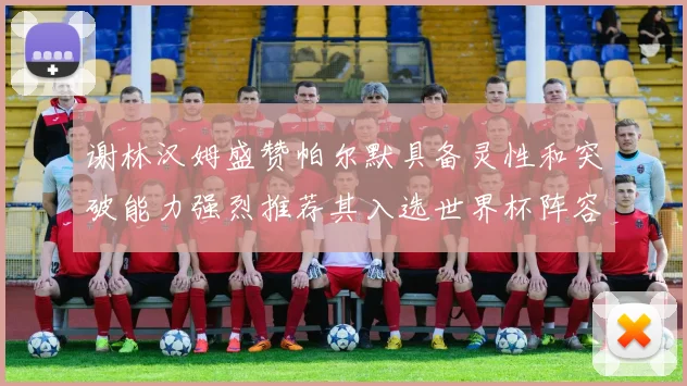 谢林汉姆盛赞帕尔默具备灵性和突破能力强烈推荐其入选世界杯阵容
